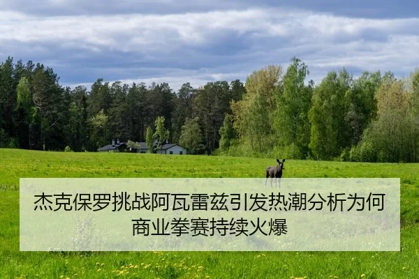 杰克保罗挑战阿瓦雷兹引发热潮分析为何商业拳赛持续火爆
