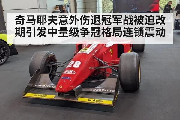 奇马耶夫意外伤退冠军战被迫改期引发中量级争冠格局连锁震动
